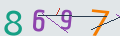 verifycode